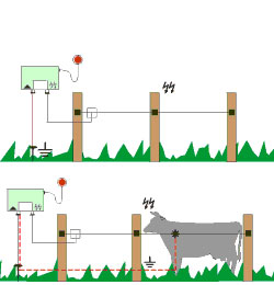 ELECTRIC FENCE WIRE, POLY TAPE AMP; ELECTRIC ROPE - HORSE.COM